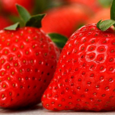 les-fraises-cest-de-saison.png