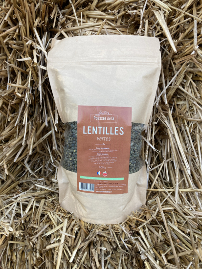 Lentilles Vertes CAB - 900 gr