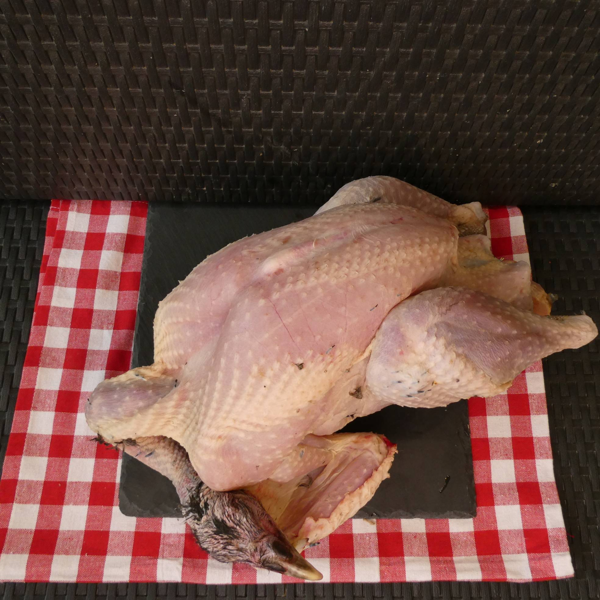 Dinde fermière